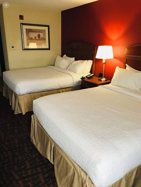 Comfort Double Room | Iron/ironing board, free WiFi