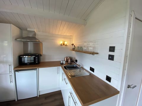 Cabin | Private kitchen | Fridge, microwave, oven, stovetop