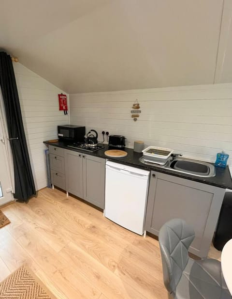 Cabin | Private kitchen | Fridge, microwave, stovetop, electric kettle