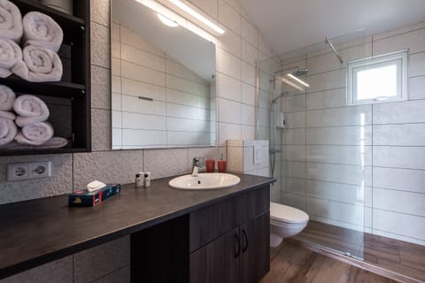 Family Apartment, 1 Bedroom | Bathroom | Shower, rainfall showerhead, free toiletries, hair dryer