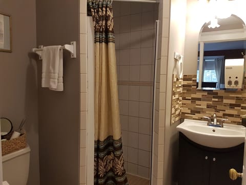 Business Room | Bathroom | Combined shower/tub, free toiletries, hair dryer, slippers