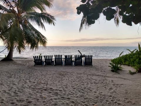 Private beach, beach towels, snorkeling, kayaking