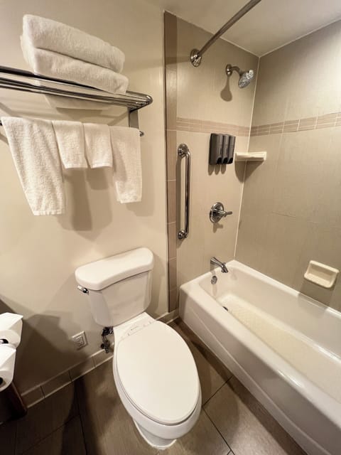 Hair dryer, towels, soap, shampoo