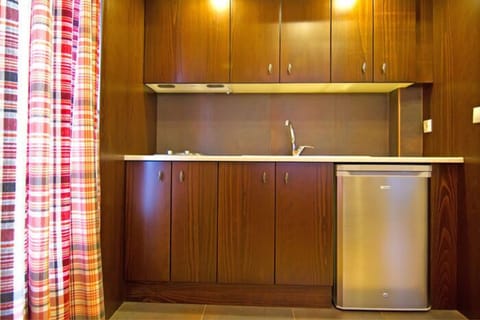 Superior Studio, City View | Private kitchenette | Fridge