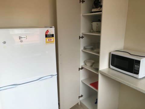 Full-size fridge, microwave