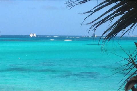 On the beach, sun loungers, beach umbrellas, beach towels