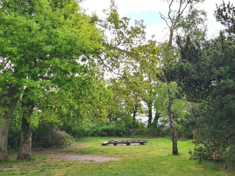 House | Property grounds