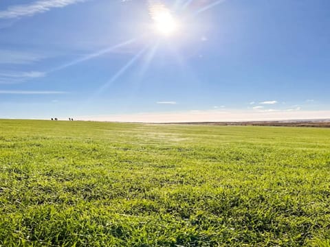 House | Miscellaneous