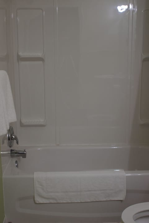 Combined shower/tub, free toiletries, hair dryer, towels