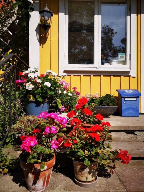 Double or Twin Room, Shared Bathroom Linen/Towels included. (departure cleaning not included) | Garden view