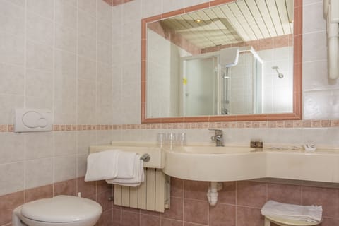 Jetted tub, free toiletries, hair dryer, bidet