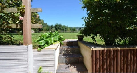 House | Property grounds