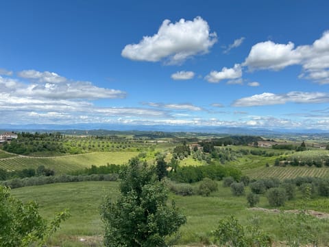 Land view from property