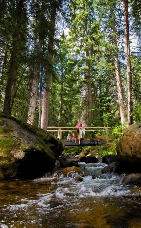 Condo, 2 Bedrooms | Miscellaneous