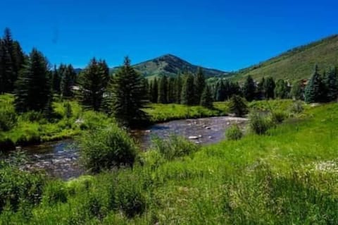 Condo, 2 Bedrooms | Miscellaneous