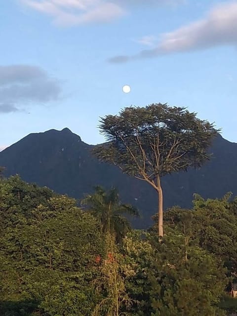 Land view from property