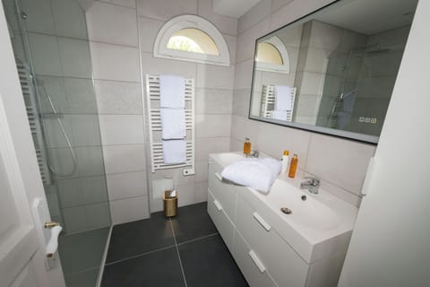 Deluxe Suite | Bathroom | Hair dryer, soap, shampoo, toilet paper