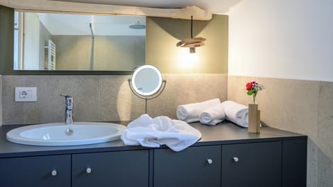 Shower, towels, toilet paper