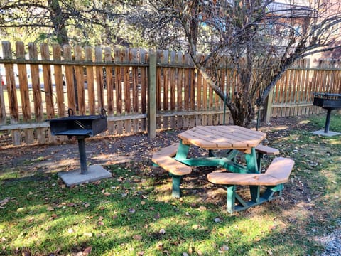 BBQ/picnic area