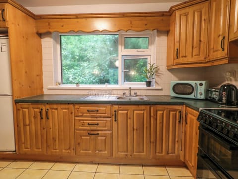 Electric kettle, toaster, cookware/dishes/utensils