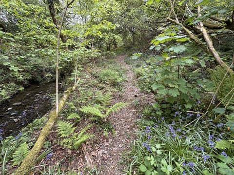 Cottage | Miscellaneous