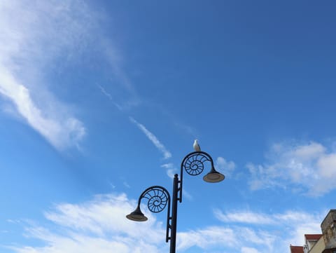 Cottage | Miscellaneous