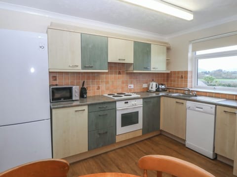 Fridge, dishwasher, electric kettle, toaster