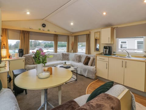 Flat-screen TV, DVD player