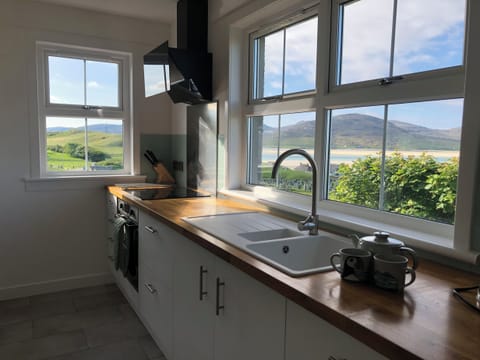 Fridge, dishwasher, electric kettle, toaster