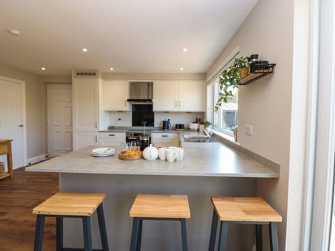 Fridge, dishwasher, electric kettle, toaster