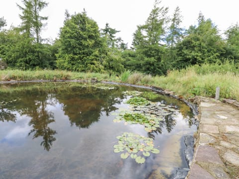 Cottage | Property grounds