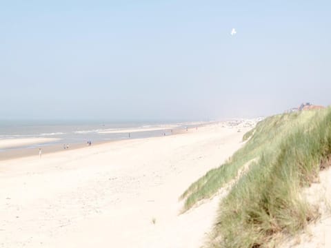 Apartment | View from property