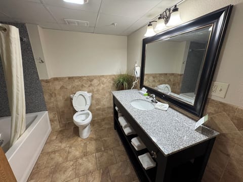 Deluxe Room, 1 King Bed, Non Smoking | Bathroom | Combined shower/tub, hair dryer, towels, soap