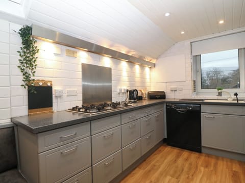 Fridge, dishwasher, electric kettle, toaster