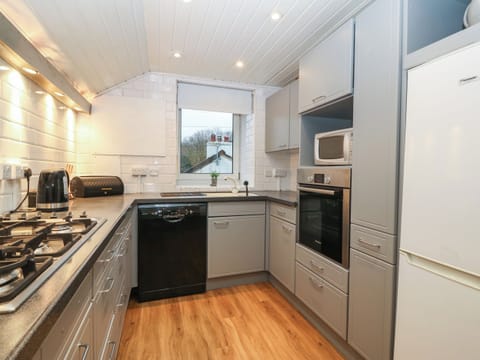 Fridge, dishwasher, electric kettle, toaster