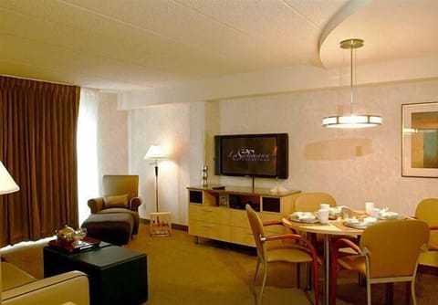 Suite, 1 King Bed and Queen Sofa Bed (Serenity Suite) | Living area | Flat-screen TV, DVD player