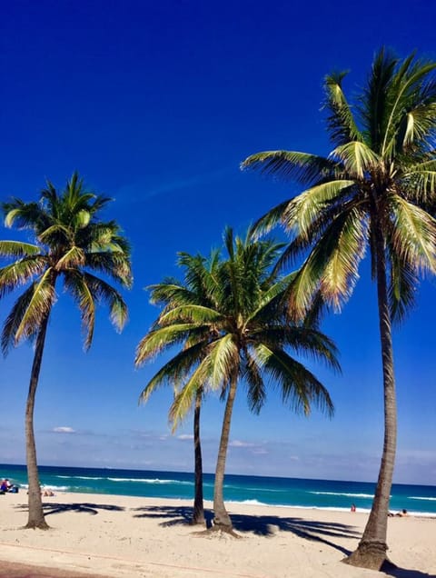 On the beach, beach cabanas, beach towels, 6 beach bars