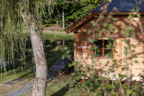 House | Interior detail