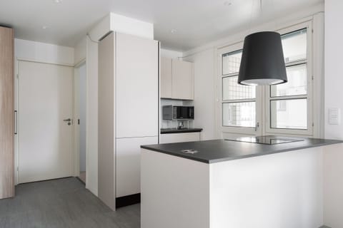 Superior Apartment, Kitchen, City View | Private kitchen | Full-size fridge, microwave, oven, stovetop