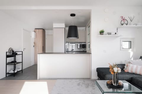 Superior Apartment, Kitchen, City View | Private kitchen | Full-size fridge, microwave, oven, stovetop