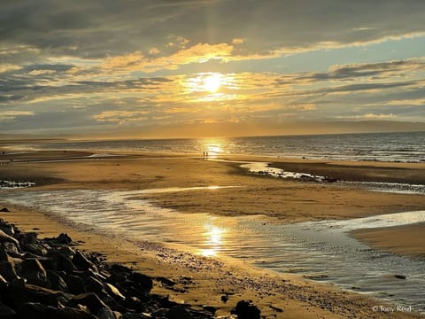 Beach nearby, white sand