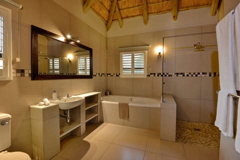 Superior Suite (Mountain) | Bathroom | Free toiletries, hair dryer, bathrobes, towels