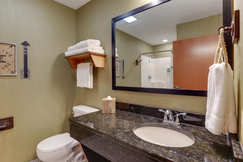 Theme Suite with Fireplace | Bathroom | Free toiletries, hair dryer, towels