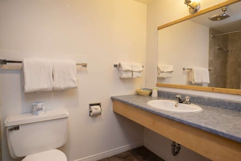 Combined shower/tub, deep soaking tub, free toiletries, hair dryer