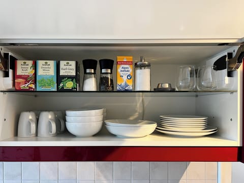 Panoramic Apartment, Lake View | Private kitchen | Toaster, highchair, cleaning supplies, paper towels