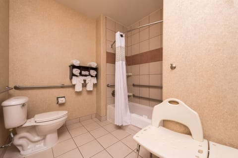 Combined shower/tub, free toiletries, hair dryer, towels