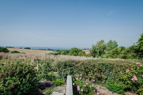 Premium bedding, pillowtop beds, minibar, individually decorated