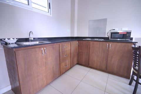 Double Suite Apartment | Private kitchen | Full-size fridge, microwave, stovetop, coffee/tea maker