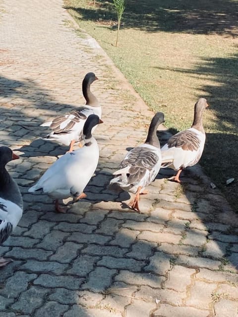 Children's activities