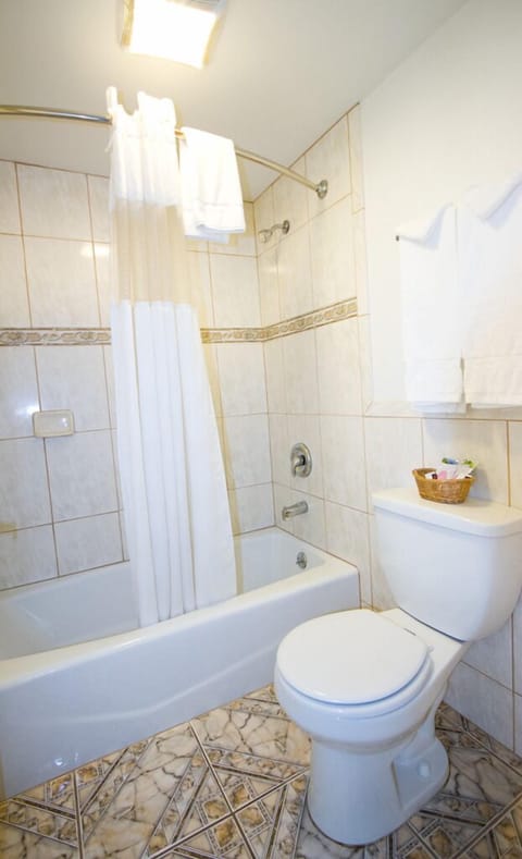 Combined shower/tub, free toiletries, hair dryer, towels